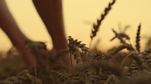 Agri Business-min